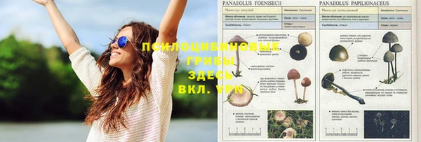 бутират Михайлов